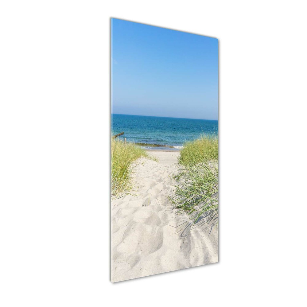 Tableau en verre Dunes en bord de mer