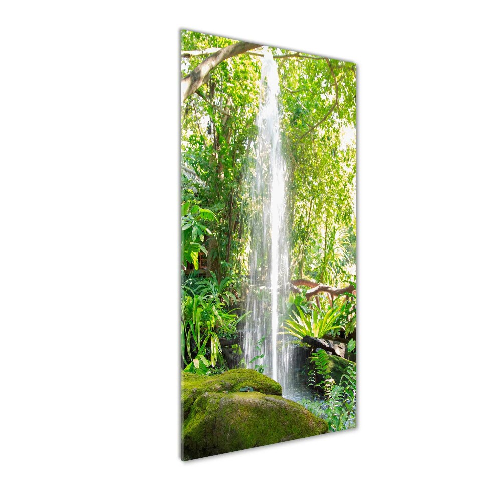 Tableau en verre Cascade dans la jungle