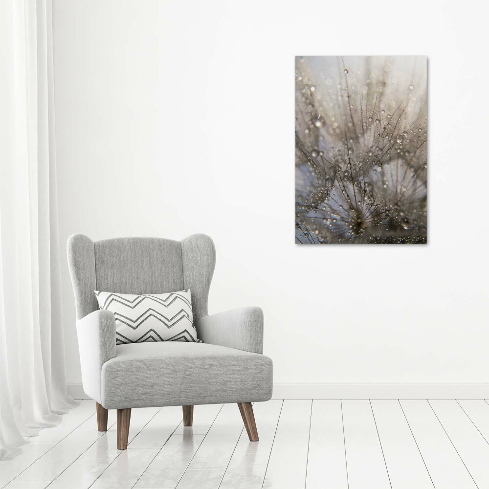 Tableau imprimé sur verre Graines de souffleur