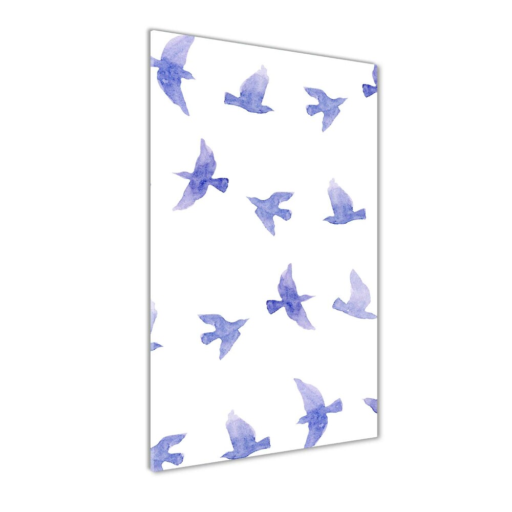 Tableau photo sur verre Hirondelles bleues