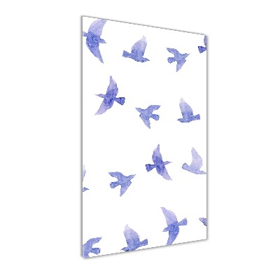 Tableau photo sur verre Hirondelles bleues