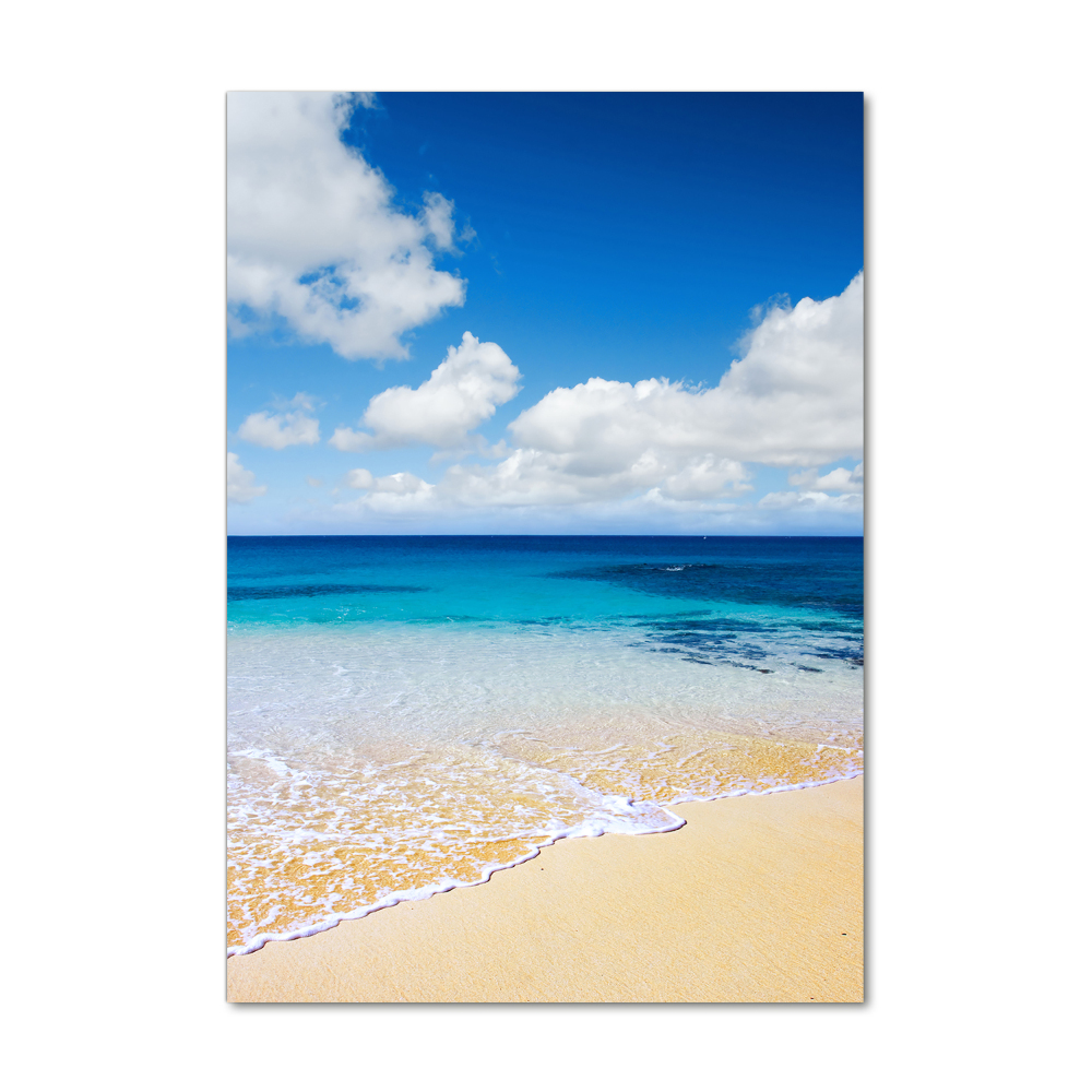 Tableau photo sur verre Plage tropicale ocean