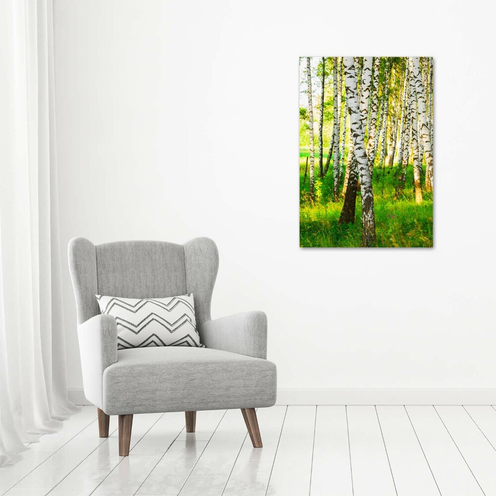 Tableau sur verre Forêt de bouleaux