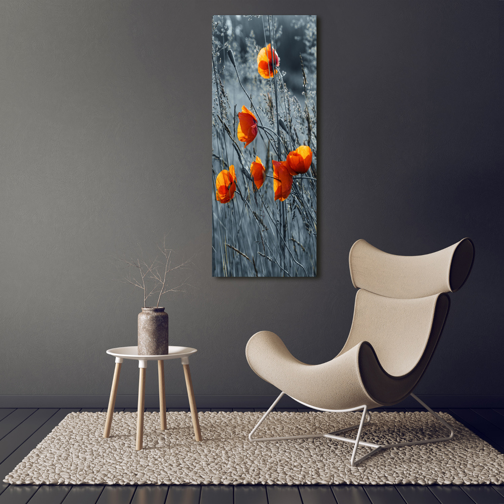 Tableau sur verre Coquelicots des champs