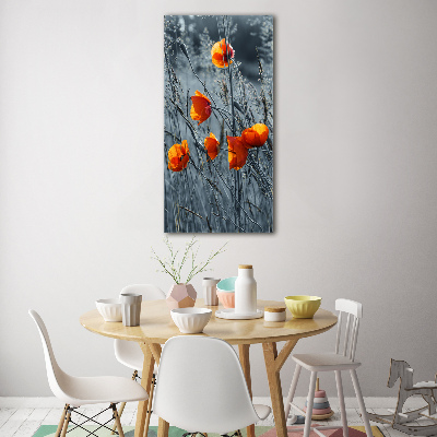 Tableau sur verre Coquelicots des champs