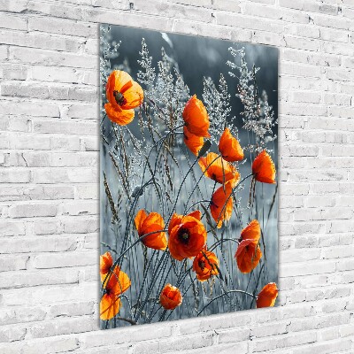 Tableau sur verre Coquelicots des champs