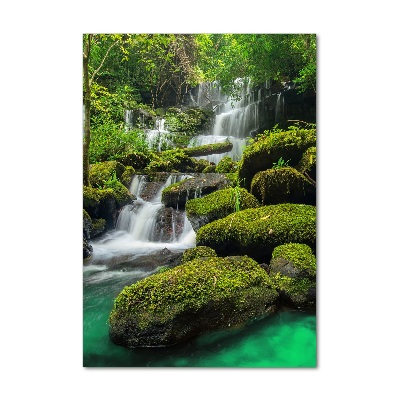 Tableau sur verre Chute d'eau dans la jungle