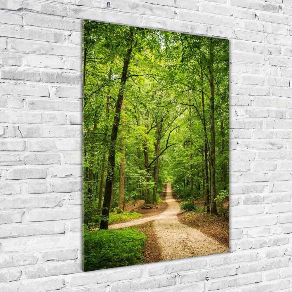 Tableau verre imprimé Chemin dans la forêt