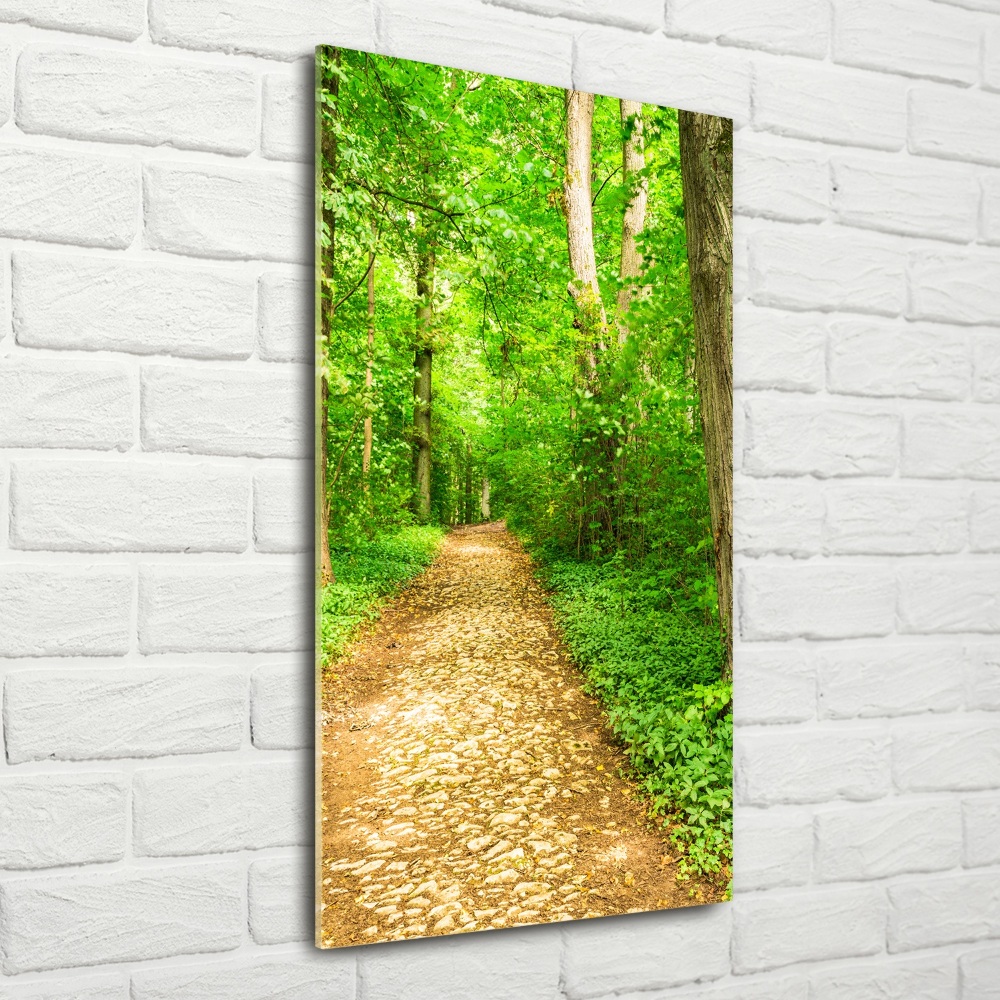 Tableau verre imprimé Sentier dans la forêt