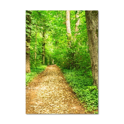 Tableau verre imprimé Sentier dans la forêt