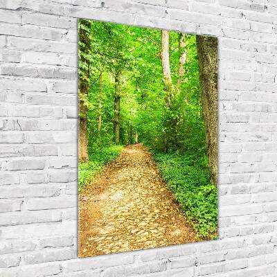 Tableau verre imprimé Sentier dans la forêt