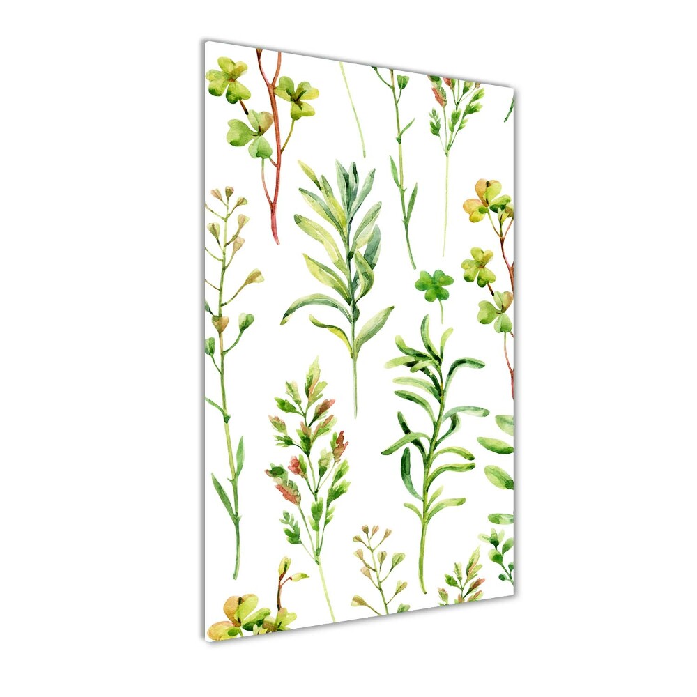 Tableau imprimé sur verre Mauvaises herbes et herbes folles