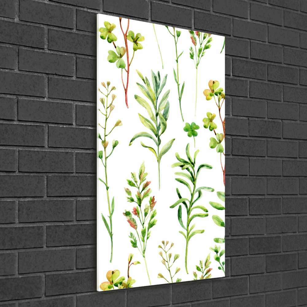 Tableau imprimé sur verre Mauvaises herbes et herbes folles