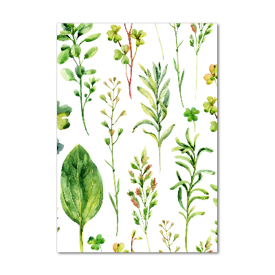 Tableau imprimé sur verre Mauvaises herbes et herbes folles