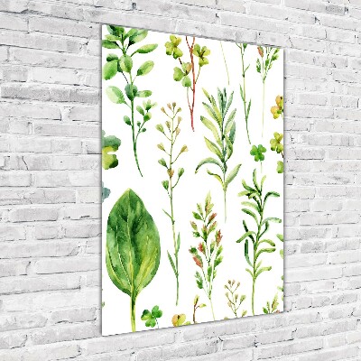 Tableau imprimé sur verre Mauvaises herbes et herbes folles