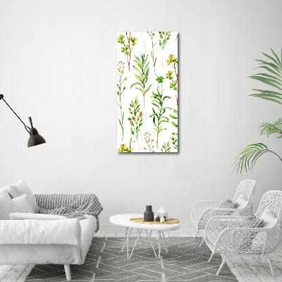 Tableau imprimé sur verre Mauvaises herbes et herbes folles