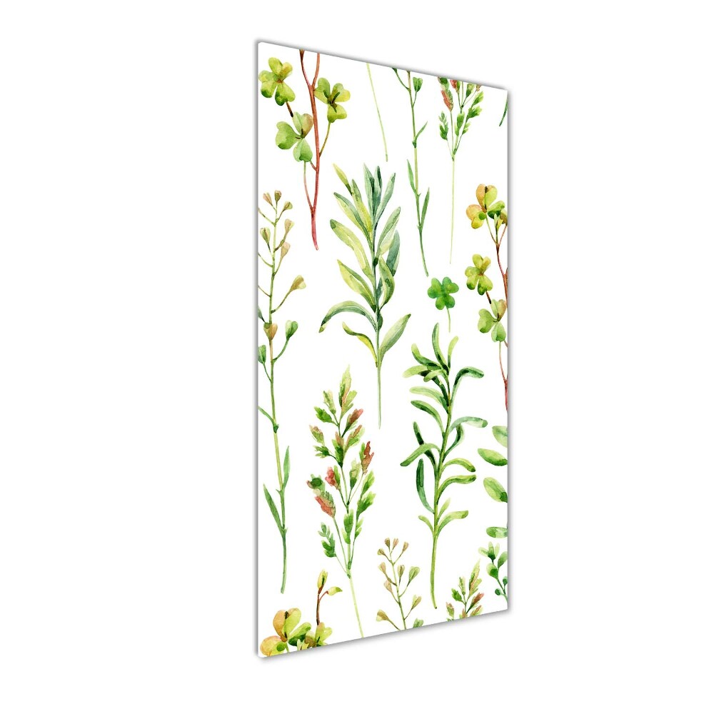 Tableau imprimé sur verre Mauvaises herbes et herbes folles