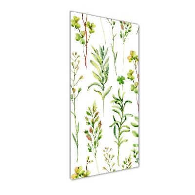 Tableau imprimé sur verre Mauvaises herbes et herbes folles