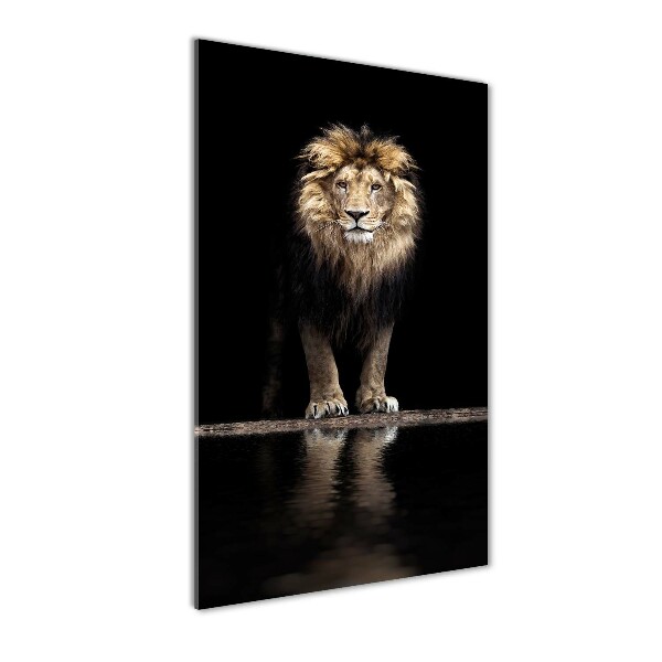 Portrait d'un lion