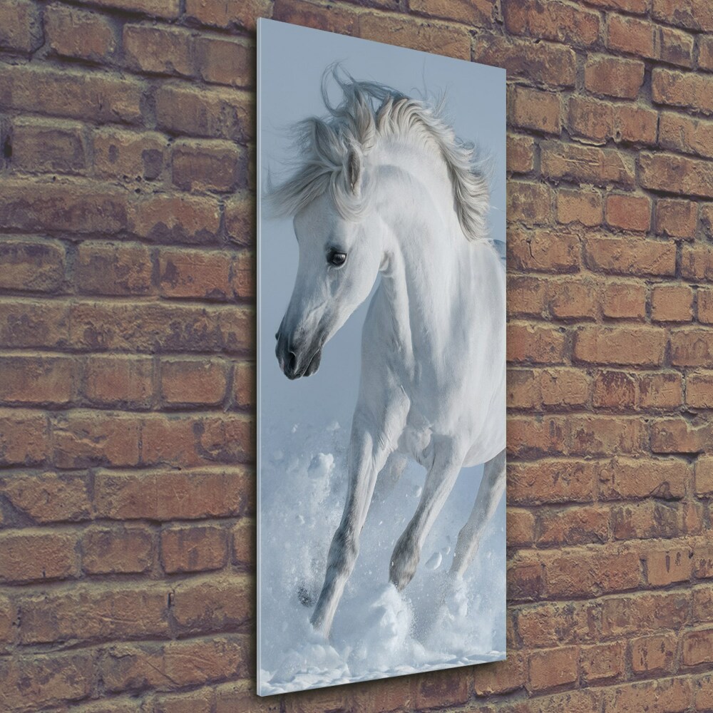 Tableau en verre Cheval blanc au galop