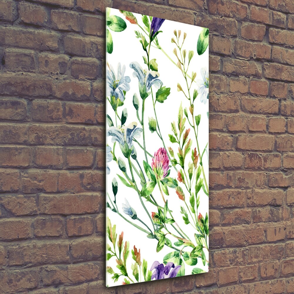 Tableau photo sur verre Les fleurs des champs