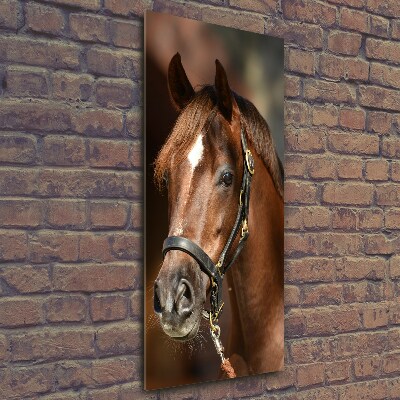 Tableau en verre Portrait d'un cheval