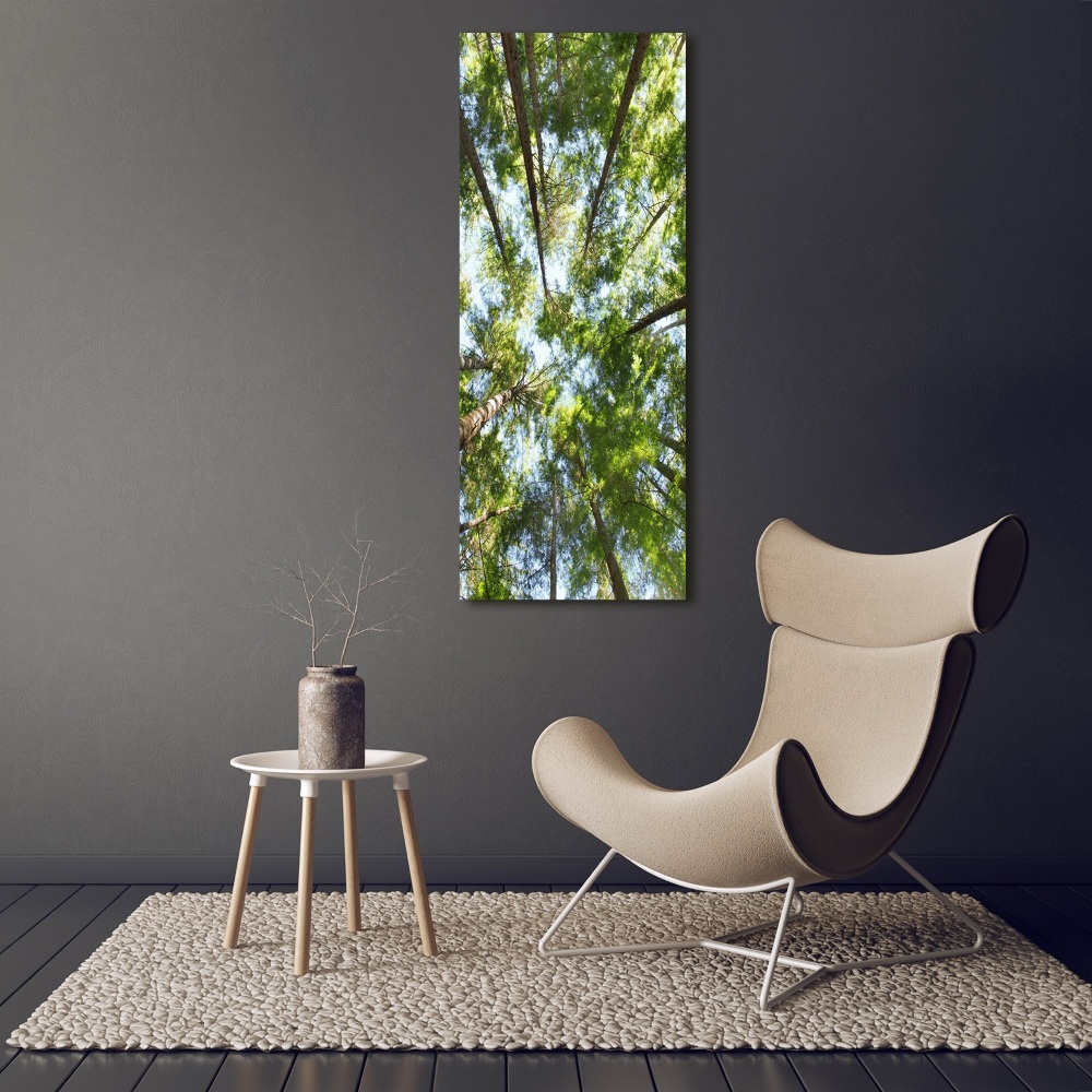 Tableau photo sur verre Couronne d'arbres