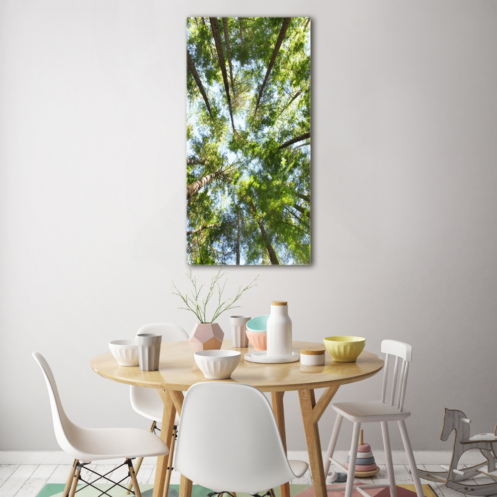 Tableau photo sur verre Couronne d'arbres