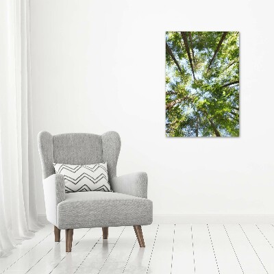 Tableau photo sur verre Couronne d'arbres