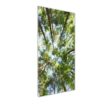 Tableau photo sur verre Couronne d'arbres