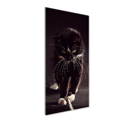 Tableau verre imprimé Chat noir