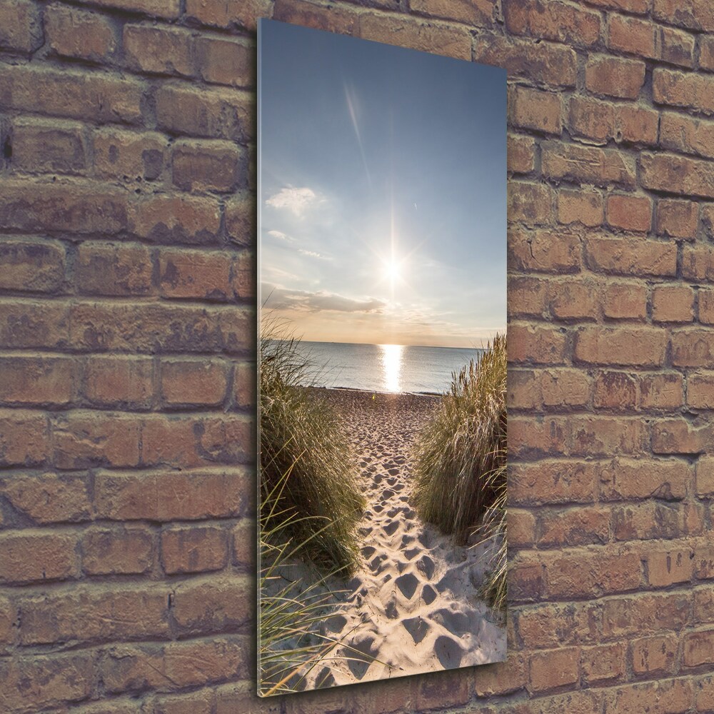 Tableau photo sur verre Dunes côtières