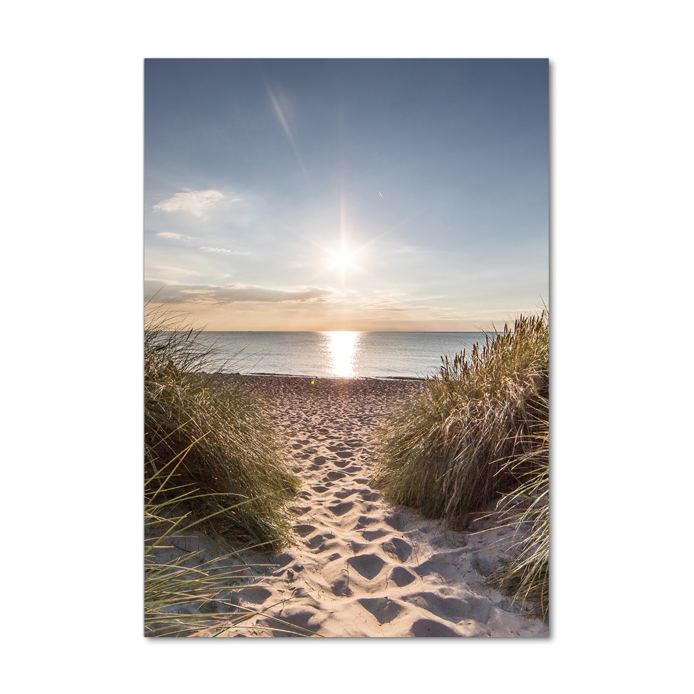 Tableau photo sur verre Dunes côtières