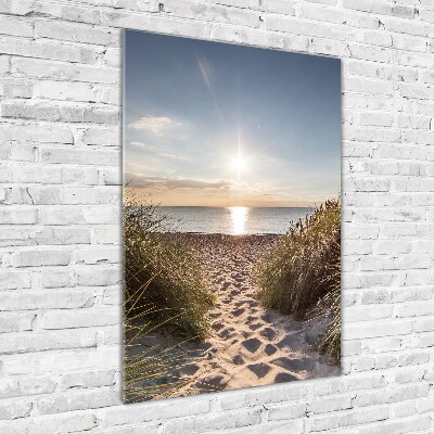 Tableau photo sur verre Dunes côtières