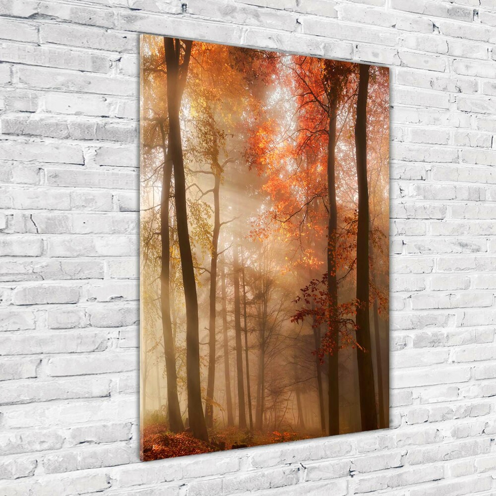 Tableau verre imprimé Forêt en automne