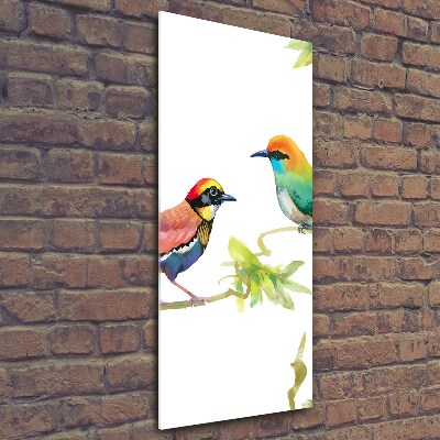 Tableau photo sur verre Oiseaux