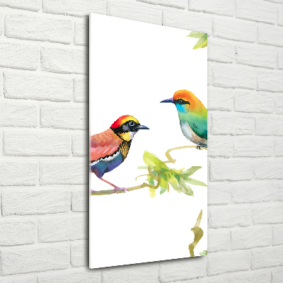 Tableau photo sur verre Oiseaux