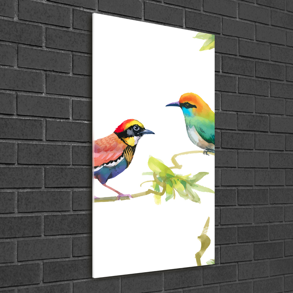 Tableau photo sur verre Oiseaux