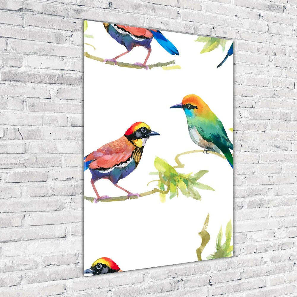 Tableau photo sur verre Oiseaux