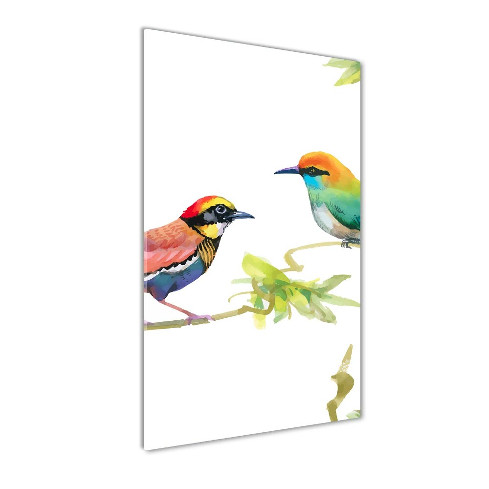 Tableau photo sur verre Oiseaux