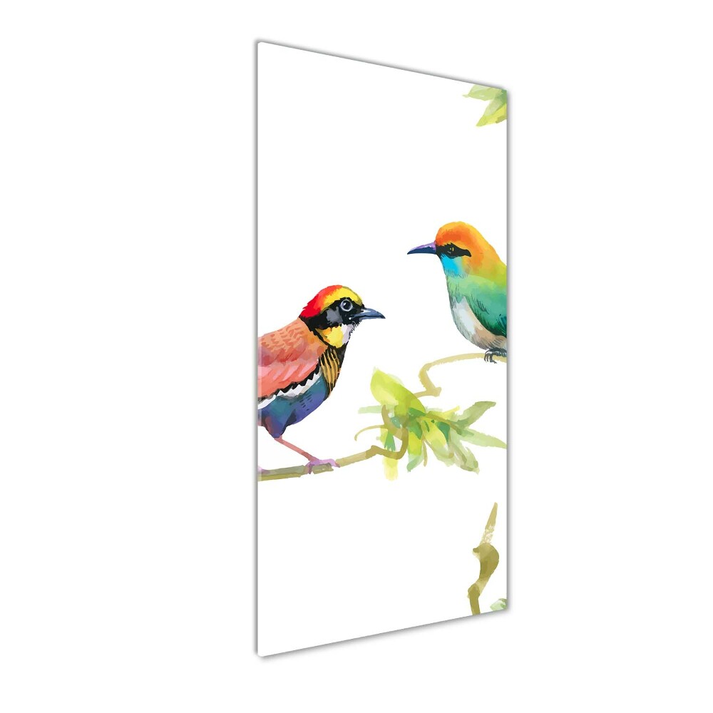 Tableau photo sur verre Oiseaux