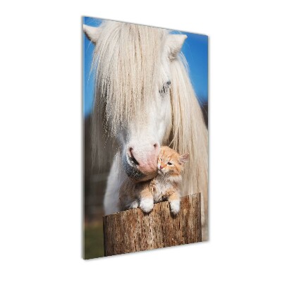 Tableau imprimé sur verre Cheval blanc avec chat