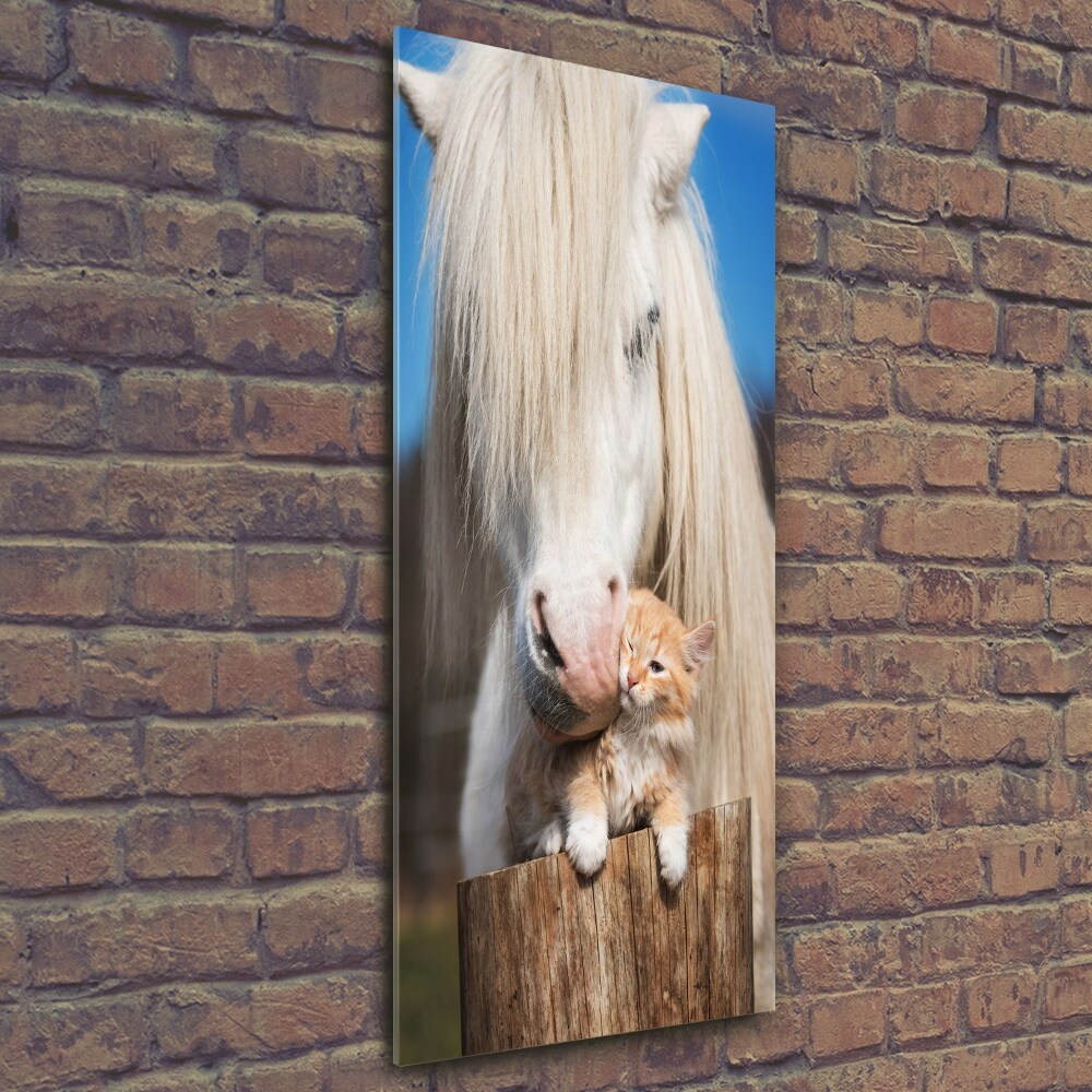 Tableau imprimé sur verre Cheval blanc avec chat