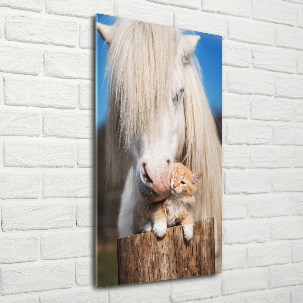 Tableau imprimé sur verre Cheval blanc avec chat