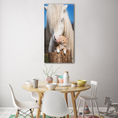 Tableau imprimé sur verre Cheval blanc avec chat