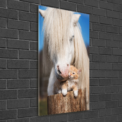 Tableau imprimé sur verre Cheval blanc avec chat