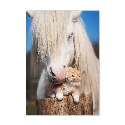 Tableau imprimé sur verre Cheval blanc avec chat