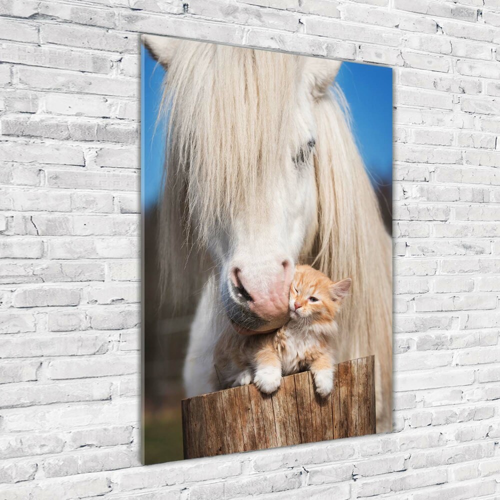 Tableau imprimé sur verre Cheval blanc avec chat