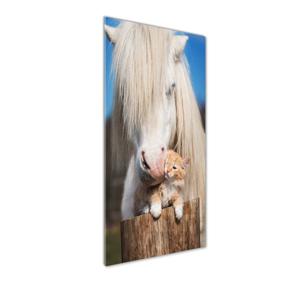 Tableau imprimé sur verre Cheval blanc avec chat