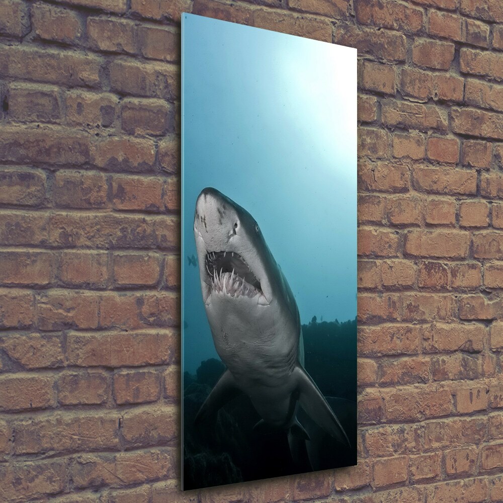 Tableau imprimé sur verre Grand requin